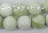 CBJ207 15.5 inches 16mm round butter jade beads wholesale