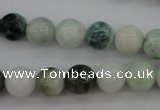 CBJ610 15.5 inches 10mm round jade beads wholesale