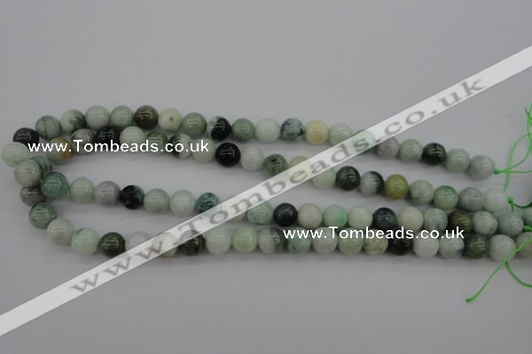 CBJ610 15.5 inches 10mm round jade beads wholesale