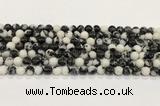 CBW171 15.5 inches 6mm round black & white jasper gemstone beads wholesale