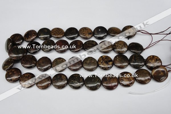 CBZ70 15.5 inches 20mm flat round bronzite gemstone beads