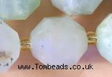 CCB1021 15 inches 11*12mm faceted Australia chrysoprase beads