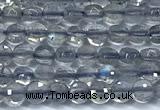 CCB1352 15 inches 2.5mm faceted coin labradorite beads