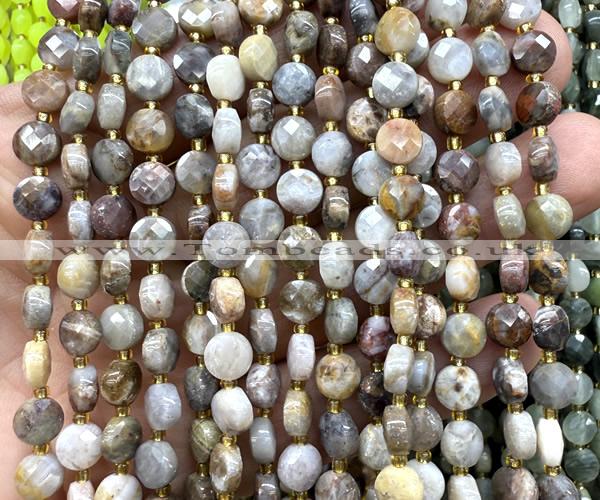 CCB1743 15 inches 6mm faceted coin gobi agate beads