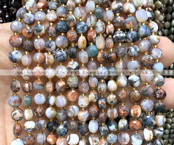 CCB1817 15 inches 6mm faceted coin red tree agate beads