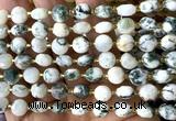 CCB1933 15 inches 8mm faceted coin tree agate beads wholesale