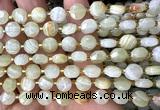 CCB1961 15 inches 8mm faceted coin Afghanistan jade beads