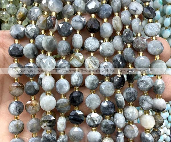 CCB2000 15 inches 8mm faceted coin eagle eye jasper beads