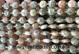 CCB2004 15 inches 8mm faceted coin Chinese unakite beads