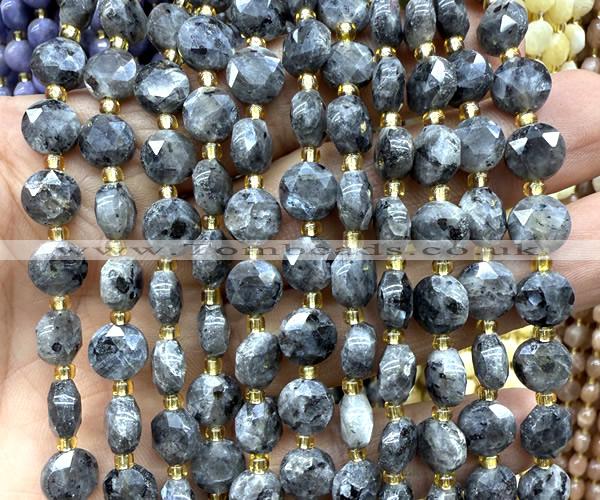 CCB2031 15 inches 8mm faceted coin black labradorite beads