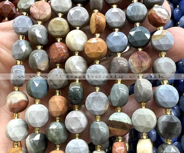 CCB2144 15 inches 10mm faceted coin American picture jasper beads