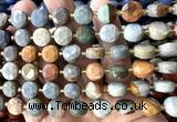 CCB2144 15 inches 10mm faceted coin American picture jasper beads