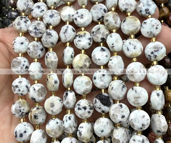 CCB2146 15 inches 10mm faceted coin sesame jasper beads