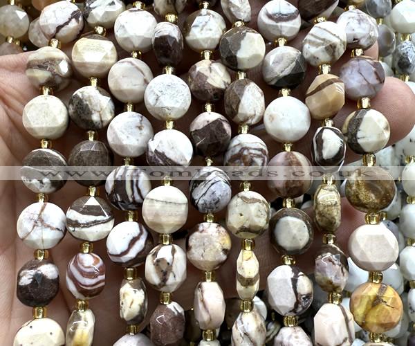 CCB2160 15 inches 10mm faceted coin Australian zebra jasper beads