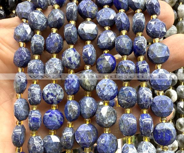 CCB2187 15 inches 10mm faceted coin lapis lazuli beads