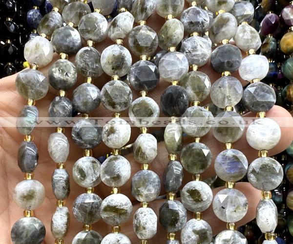 CCB2190 15 inches 10mm faceted coin labradorite gemstone beads