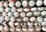 CCB2206 15 inches 10mm faceted coin white moonstone beads