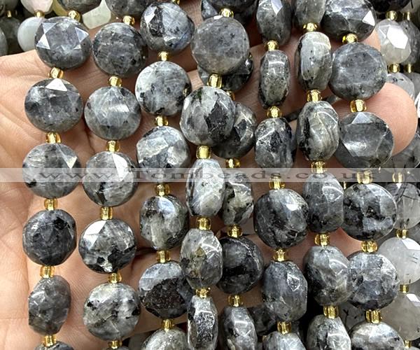 CCB2359 15 inches 12mm faceted coin black labradorite beads