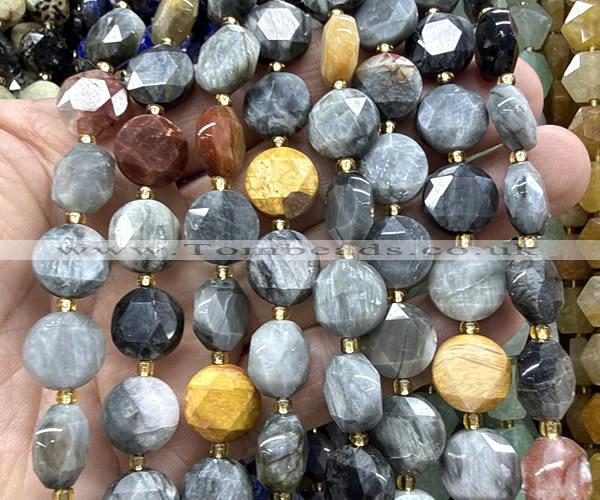 CCB2367 15 inches 12mm faceted coin eagle eye jasper beads