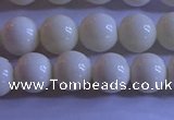 CCB302 15.5 inches 8mm round white coral beads wholesale