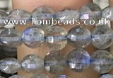 CCB540 15.5 inches 4mm faceted coin labradorite gemstone beads