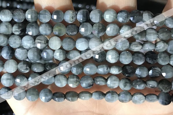 CCB627 15.5 inches 6mm faceted coin eagle eye jasper gemstone beads