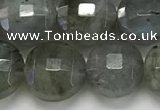 CCB684 15.5 inches 10mm faceted coin labradorite gemstone beads