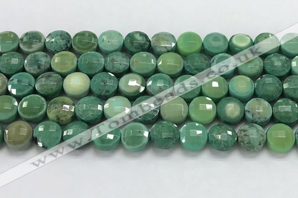 CCB689 15.5 inches 10mm faceted coin grass agate gemstone beads