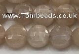 CCB705 15.5 inches 6mm faceted coin moonstone gemstone beads