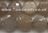 CCB725 15.5 inches 8mm faceted coin moonstone gemstone beads