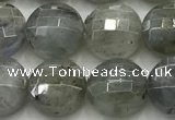 CCB726 15.5 inches 8mm faceted coin labradorite gemstone beads