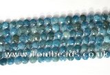 CCB763 15.5 inches 8mm faceted coin apatite beads