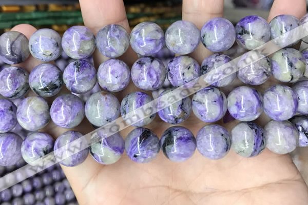 CCG322 15.5 inches 12mm round natural charoite beads wholesale