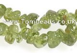 CCH16 35 inches green peridot chips gemstone beads wholesale