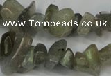 CCH217 34 inches 5*8mm labradorite chips gemstone beads wholesale