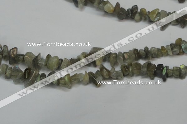 CCH217 34 inches 5*8mm labradorite chips gemstone beads wholesale