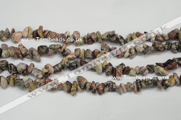 CCH226 34 inches 5*8mm red leopard skin jasper chips beads wholesale