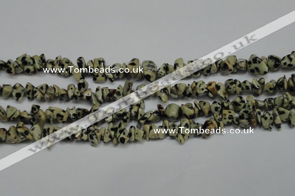 CCH228 34 inches 5*8mm dalmatian jasper chips gemstone beads wholesale