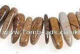 CCH26 16 inches picture jasper chips gemstone beads wholesale