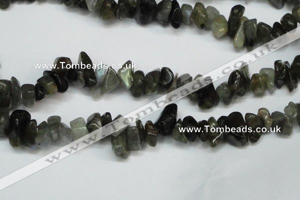 CCH277 34 inches 8*12mm labradorite chips gemstone beads wholesale