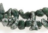 CCH29 35 inches dalmatian jasper chips gemstone beads wholesale