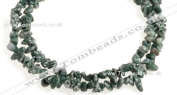 CCH29 35 inches dalmatian jasper chips gemstone beads wholesale