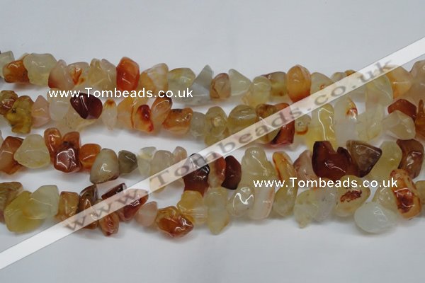 CCH305 34 inches 8*12mm red agate chips gemstone beads wholesale