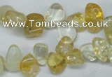 CCH312 15.5 inches 10*15mm citrine chips gemstone beads wholesale