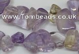 CCH314 15.5 inches 10*15mm ametrine chips gemstone beads wholesale