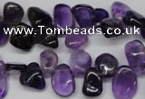 CCH315 15.5 inches 10*15mm amethyst chips gemstone beads wholesale