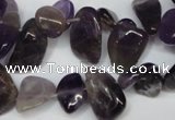 CCH316 15.5 inches 10*15mm amethyst chips gemstone beads wholesale