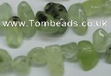 CCH318 15.5 inches 10*15mm prehnite chips gemstone beads wholesale