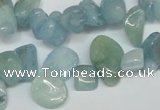 CCH319 15.5 inches 10*15mm aquamarine chips gemstone beads wholesale