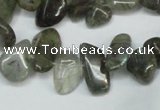 CCH320 15.5 inches 10*15mm labradorite chips gemstone beads wholesale